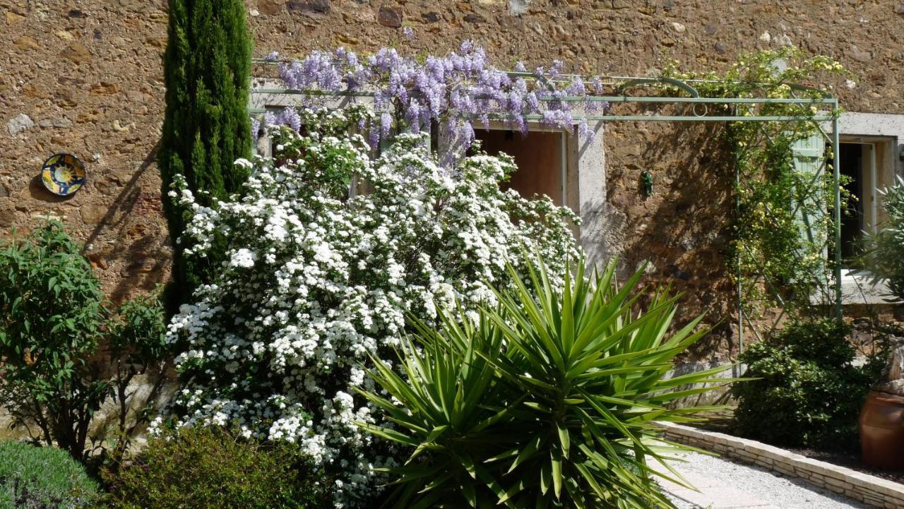 Chambre D'Hotes Nature Et Saveurs Boutenac Esterno foto