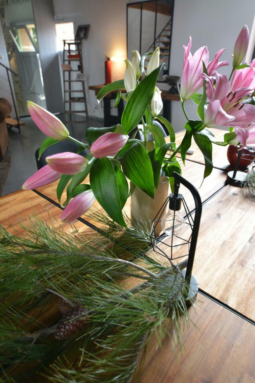 Chambre D'Hotes Nature Et Saveurs Boutenac Esterno foto